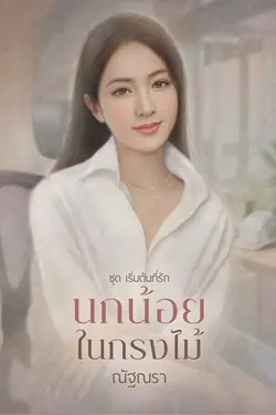 ปกนิยาย