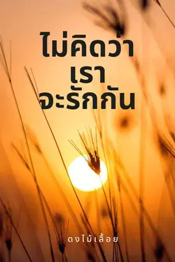 ปกอีบุ๊กเรื่อง ไม่คิอว่าเราจะรักกัน