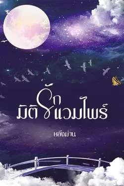 ปกอีบุ๊กเรื่อง มิติรัก แวมไพร์