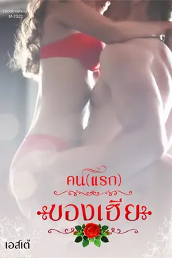 ปกนิยาย