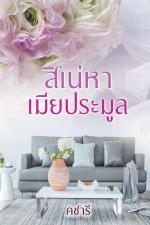 ปกนิยาย