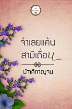 ปกอีบุ๊กเรื่อง จำเลยแค้นสามีเถื่อน