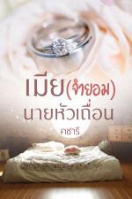 ปกนิยาย