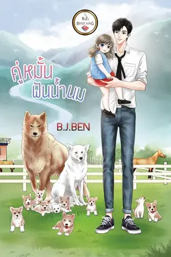 ปกนิยาย