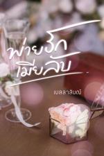 ปกอีบุ๊กเรื่อง พ่ายรักเมียลับ