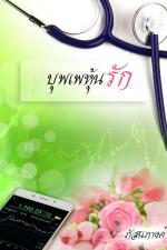 ปกอีบุ๊กเรื่อง บุพเพหุ้นรัก [single gals]