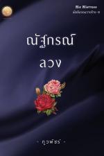 ปกอีบุ๊กเรื่อง ณัฐกรณ์ลวง