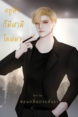 ปกอีบุ๊กเรื่อง อยู่ดีๆก็มีสามีโผล่มา