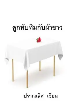 ปกอีบุ๊กเรื่อง ลูกทับทิมกับผ้าขาว