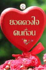 ปกนิยาย