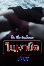 ปกอีบุ๊กเรื่อง -In the darkness ในเงามืด-