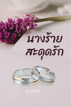 ปกอีบุ๊กเรื่อง นางรักสะดุดรัก