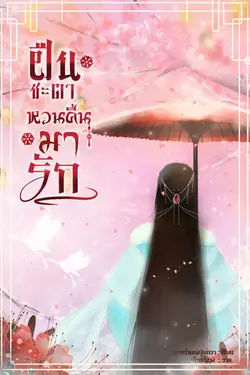 ปกนิยาย