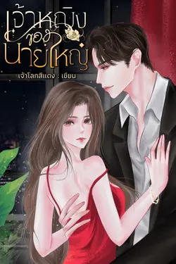 ปกอีบุ๊กเรื่อง เจ้าหญิงของนายใหญ่ (princess)