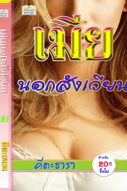 ปกอีบุ๊กเรื่อง เมียนอกสังเวียน (นิยายรัก ดราม่า โรมานซ์ฉ