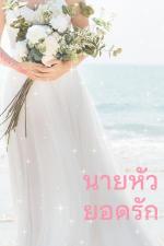 ปกอีบุ๊กเรื่อง นายหัวยอดรัก