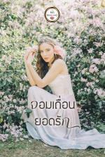 ปกอีบุ๊กเรื่อง จอมเถื่อนยอดรัก