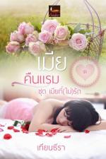 ปกอีบุ๊กเรื่อง เมียคืนแรม