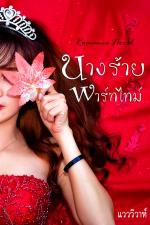 ปกนิยาย