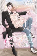 ปกอีบุ๊กเรื่อง หัวใจอยู่ที่ปลายฟ้า