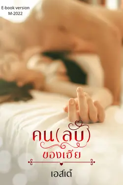 ปกนิยาย