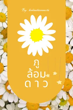 ปกนิยาย