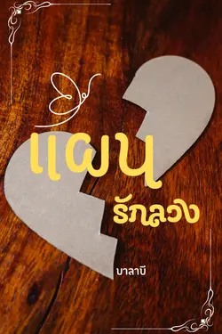 ปกอีบุ๊กเรื่อง แผนรักลวง