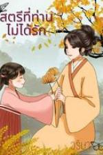 ปกนิยาย