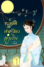 ปกอีบุ๊กเรื่อง ทะลุมิติเป็นเจ้าเหมียวท่านอ๋อง