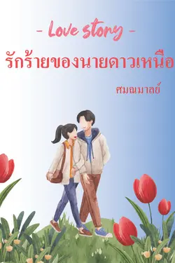 ปกอีบุ๊กเรื่อง Love Story รักร้ายของนายดาวเหนือ