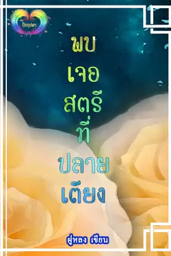 ปกอีบุ๊กเรื่อง พบเจอสตรีที่ปลายเตียง