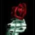 Tomang_Alizyn