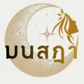 รูปโพรไฟล์ของ PP2925