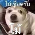 รูปโพรไฟล์ของ Cha_ice