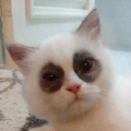 รูปโพรไฟล์ของ Npp_lookkaew
