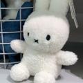 รูปโพรไฟล์ของ bunniejoon