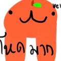 รูปโพรไฟล์ของ papakyayok