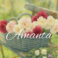 รูปโพรไฟล์ของ Arayamanta