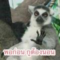 princess_pim