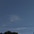 รูปโพรไฟล์ของ BlueSapphireee