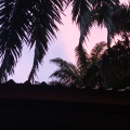 รูปโพรไฟล์ของ Saz1