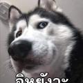 รูปโพรไฟล์ของ xlnwza