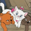 รูปโพรไฟล์ของ Sleepycatwriter
