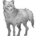 รูปโพรไฟล์ของ The_Wolf_Vagrant