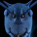 รูปโพรไฟล์ของ The_Ant_in_Abyss