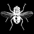 รูปโพรไฟล์ของ unknownfakebug
