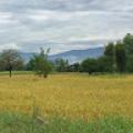 รูปโพรไฟล์ของ Ganjanan