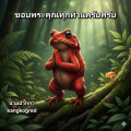 รูปโพรไฟล์ของ kangkogred