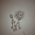 รูปโพรไฟล์ของ Pencil5
