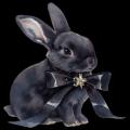 รูปโพรไฟล์ของ RABBIT_TIBBAR